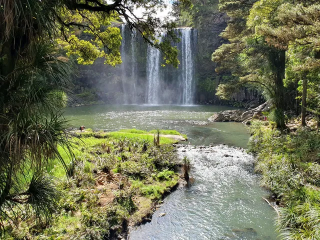 Whangarei Falls