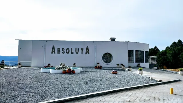 Absoluta