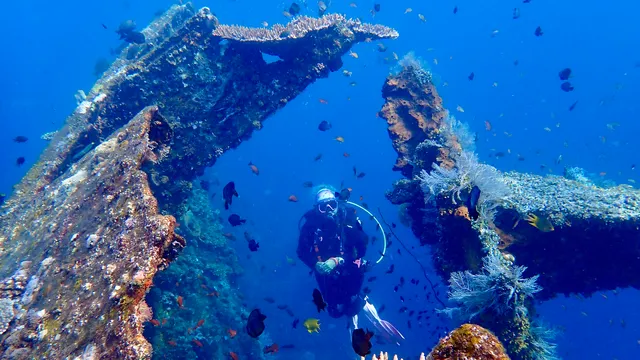 Wonder Dive Bali