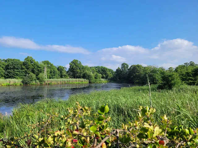 Arshamomaque Preserve