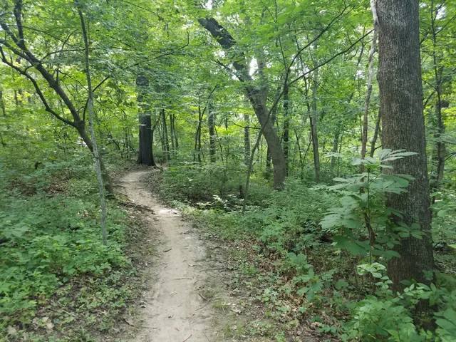 Hidden Valley Park Trail