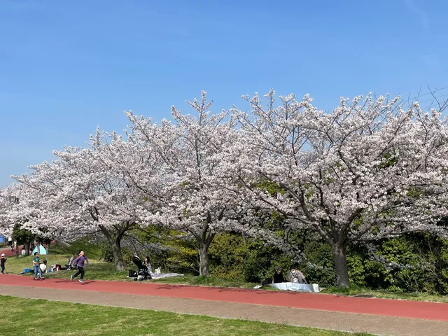Tarumi Wellness Park