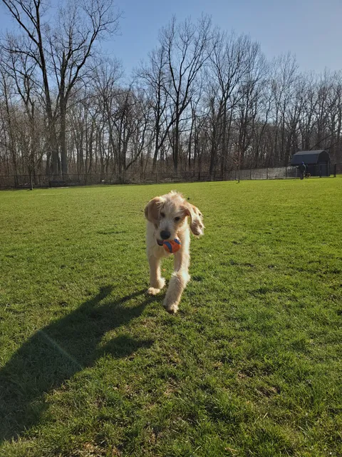 Pawster Park (Pay Access)