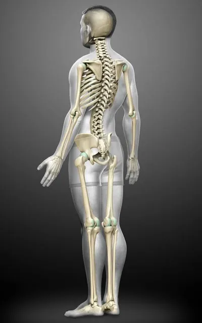 City Museum Subotica