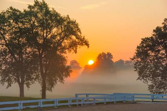 Kentucky Horse Park