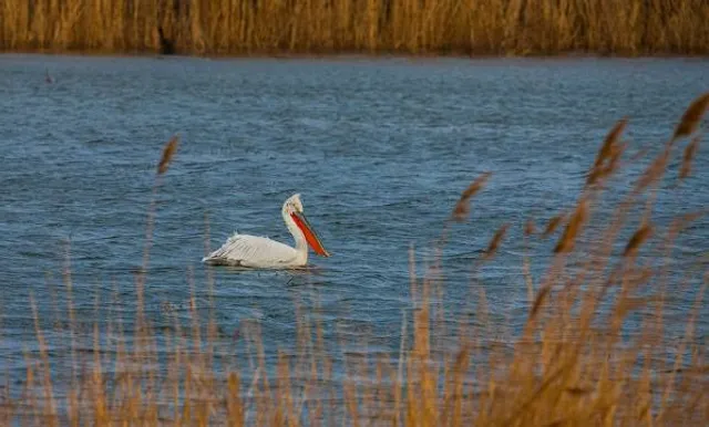 Lake Gala National Park