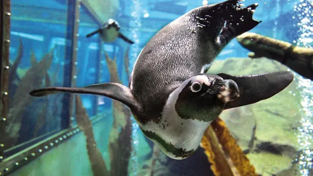 Erlebnis-Zoo Hannover