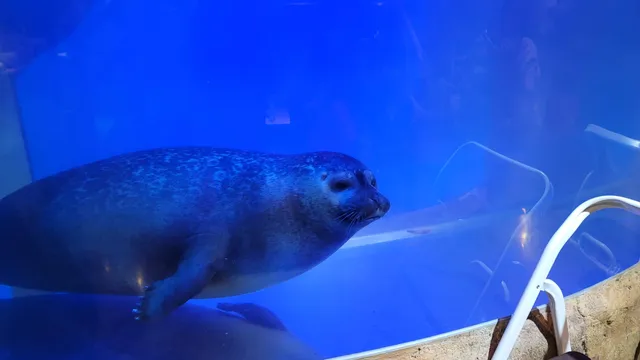 아르티스 테마파크