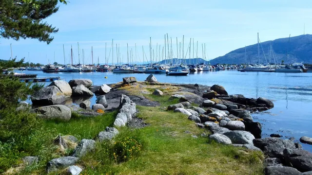 Ryfylke Friluftsråd