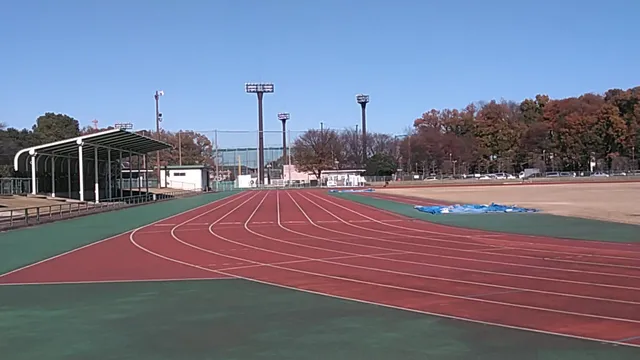 Niiza Sports Park Athletic Field