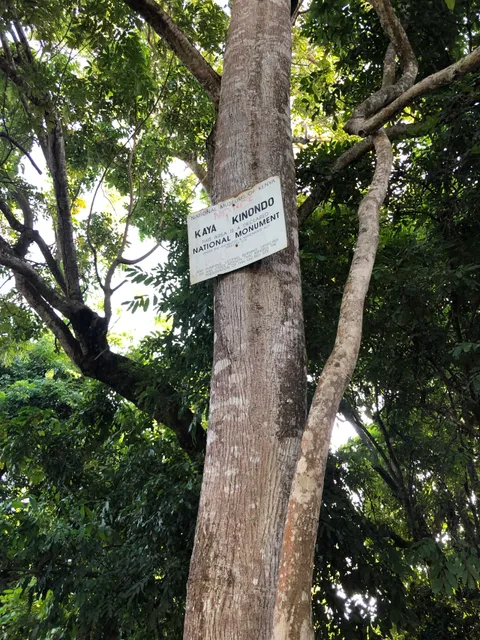Kaya Kinondo Sacred Forest
