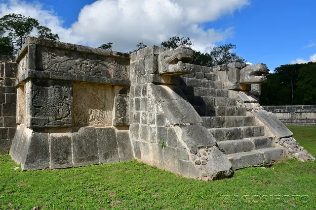 Eagles & Jaguars Platform