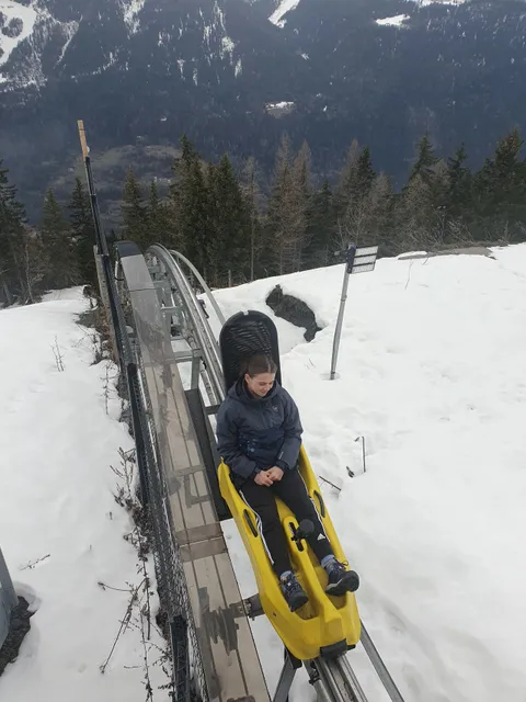 XTREME Luge 4 saisons