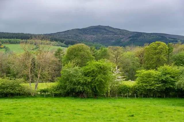 Aberduna Nature Reserve & North Wales Wildlife Trust Office (North East)