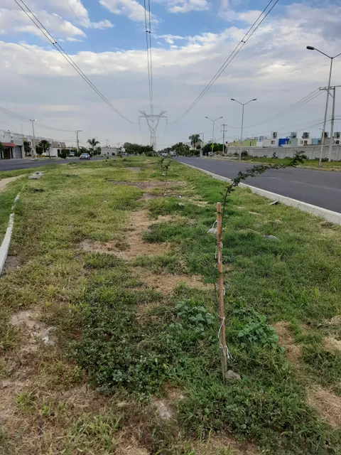 Lineal Mexico Japon Park