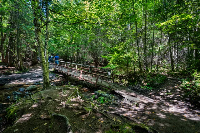 Scout Valley Loop Trail