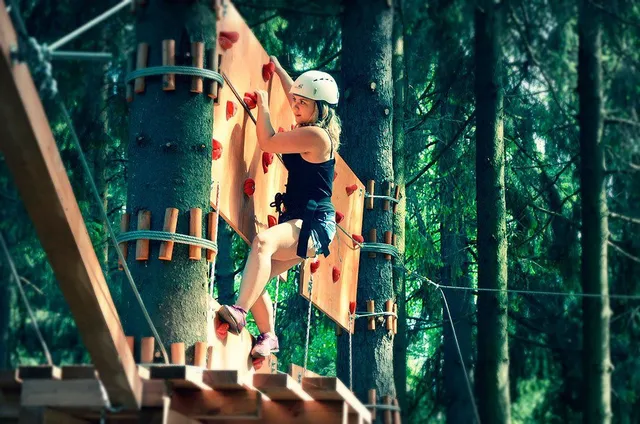 Tree To Tree Репино