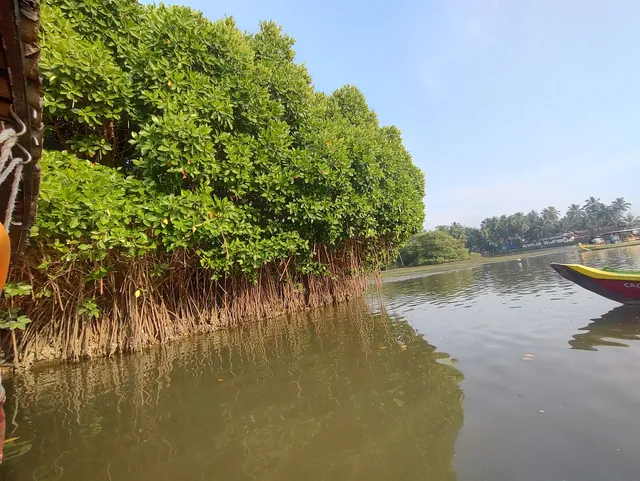 Kadalundi Bird Sanctuary