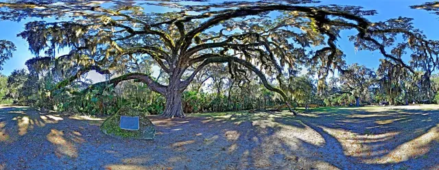 Fairchild Oak