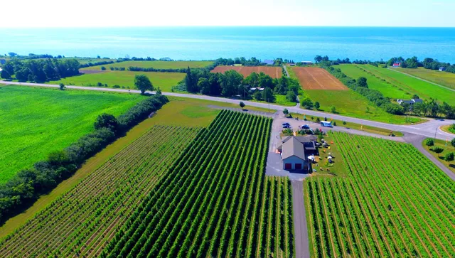 Sandbanks Estate Winery