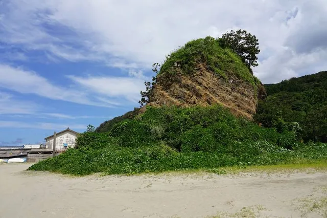 Birdwalk Coastal Access Trail