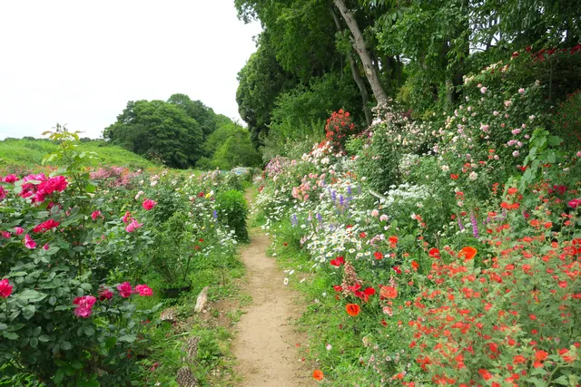 The Natural Gardens of Sakano