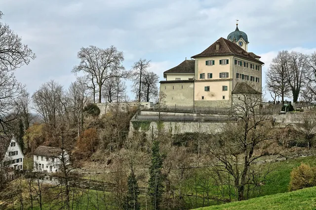 Schloss Grüningen