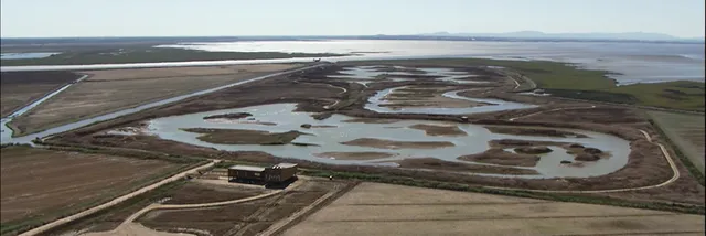EVOA - Espaço de Visitação e Observação de Aves