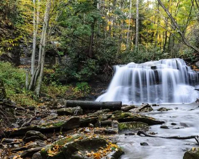 Holly River State Park