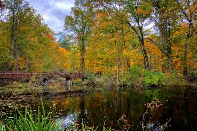 Oak Openings Preserve Metropark