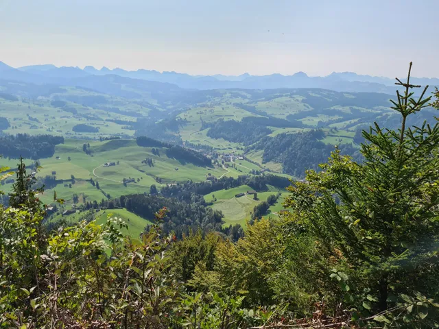 photo-2