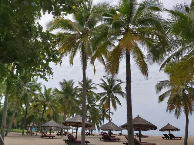 A Pillar Piercing into the Southern Sky