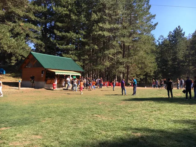 Parco Avventura Principe