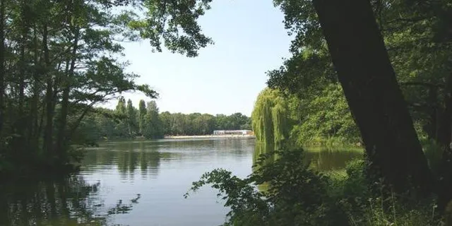 Jungfernheideteich