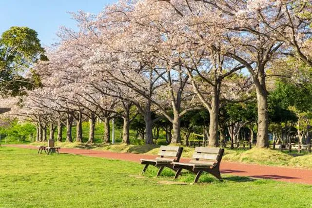 Saitama Prefectural Misato Park