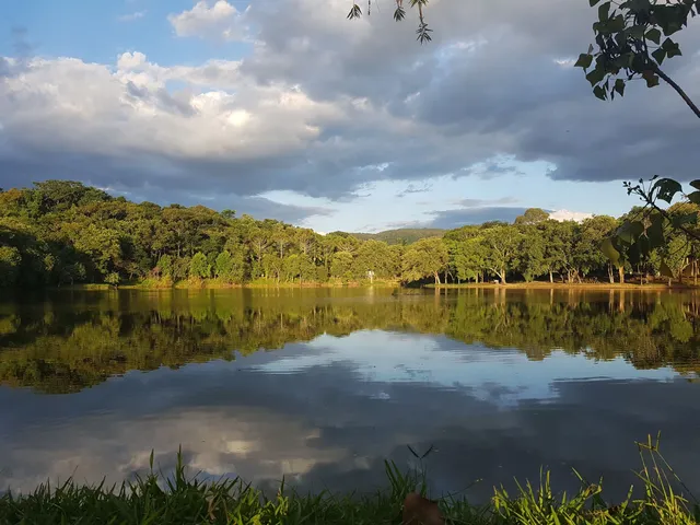 Lago Municipal Iria Mota e Silva