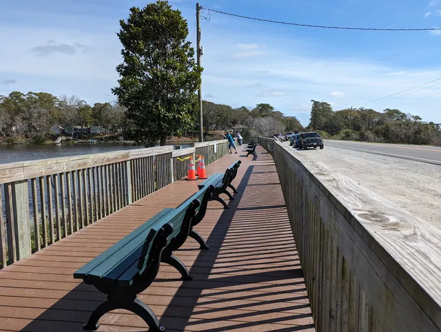 Carl Bazemore Bird Walk