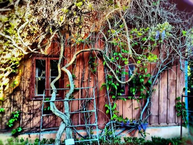 Paradise Garden Foundation