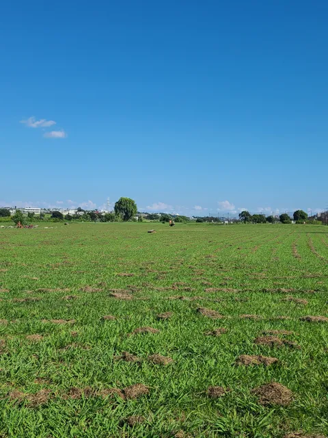 Seseragi Family Plaza