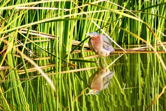 Ken Malloy Harbor Regional Park