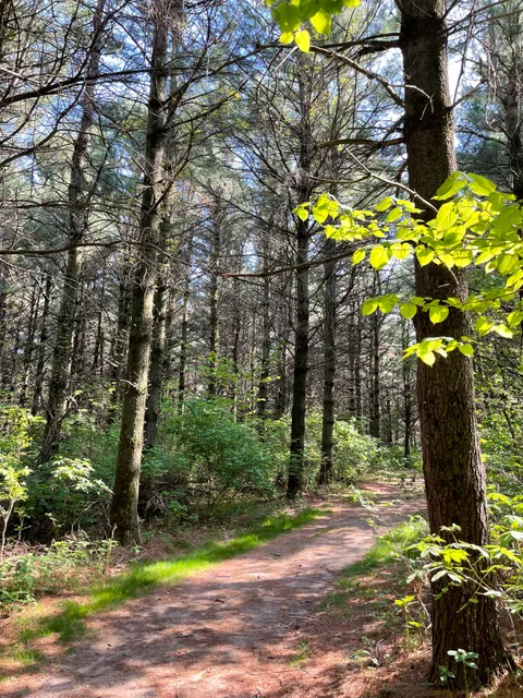 Spring Lake Park Reserve