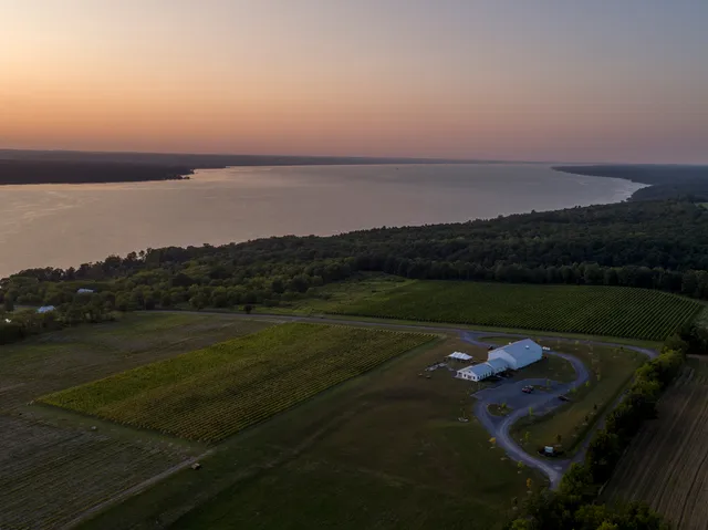 Boundary Breaks Vineyard