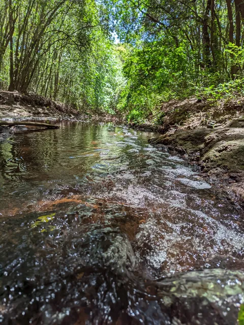 Pereyra Iraola Biosphere Reserve