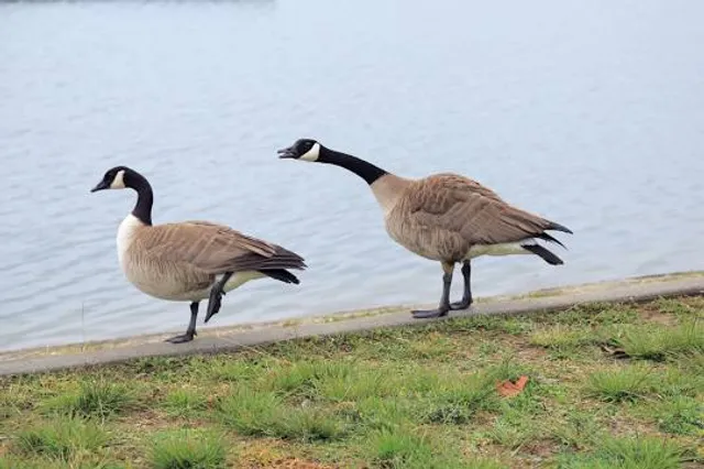 Hawthorn Park- Vigo County Parks and Recreation Department