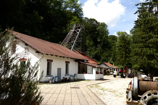 Ajkai Bányászati Múzeum Őslény-és Kőzettár