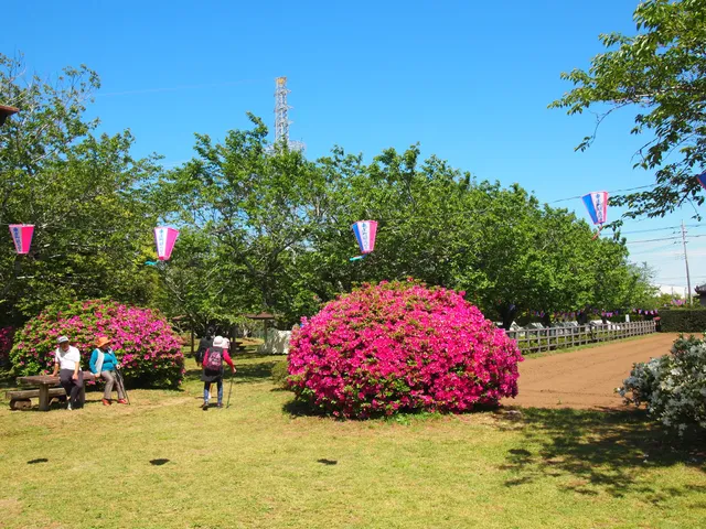 Kumoimisakitsutsuji Park