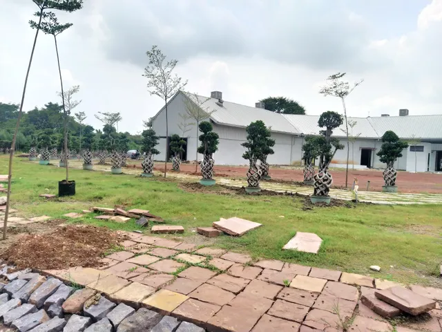 Polo Rooms Raipur Airport