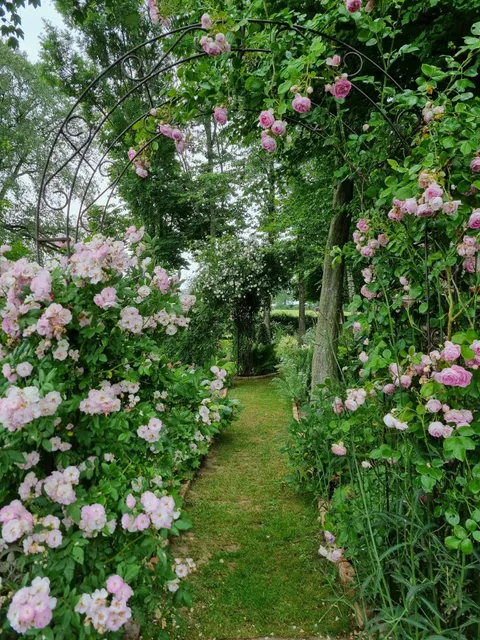 Le jardin de La Maison des Champs