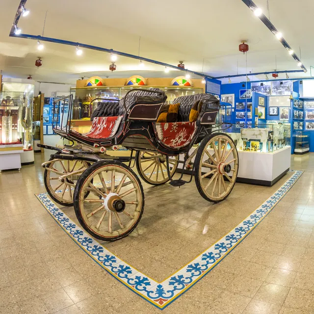 מרכז מורשת יהדות לוב באור יהודה