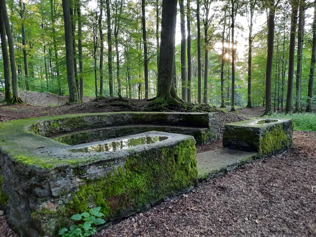 Castra of Holzhausen